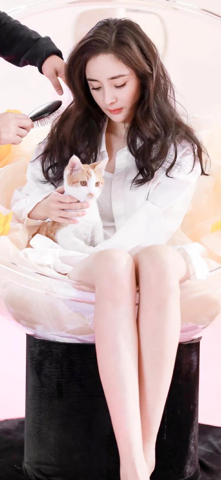 杨幂最新美照