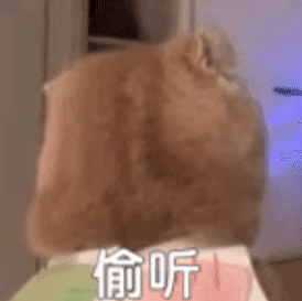 ʮʺϼyangĹʺϼĹming-Ѷ