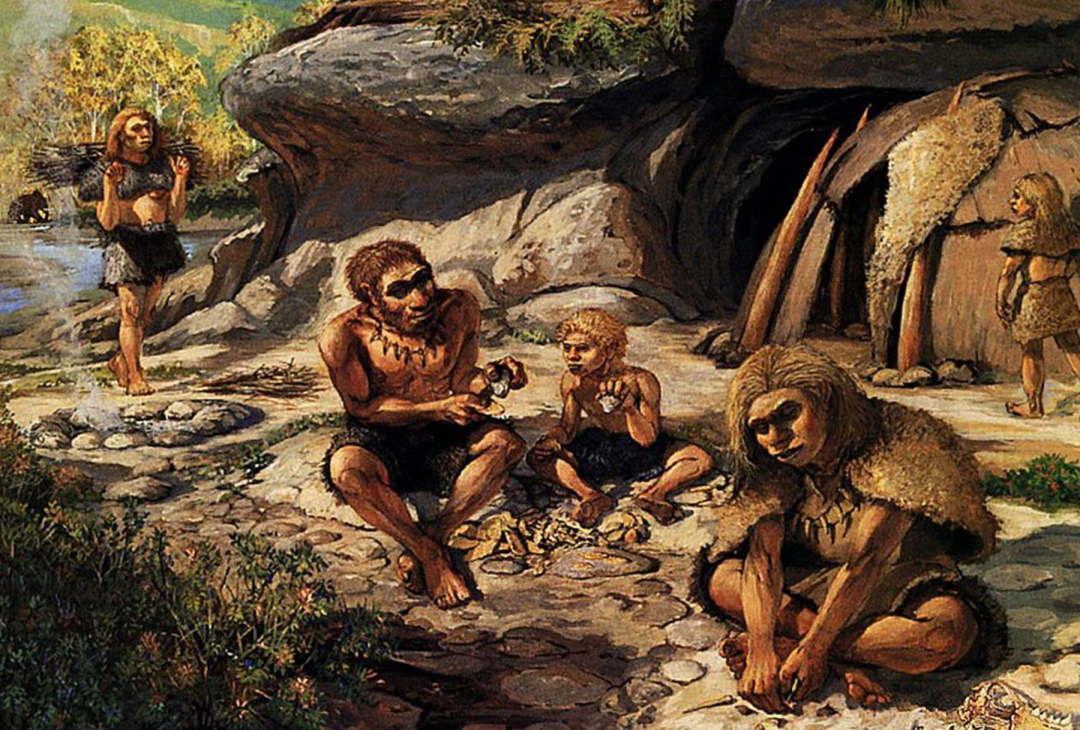 人类是怎么来的(每一个人类都是由女性生的)