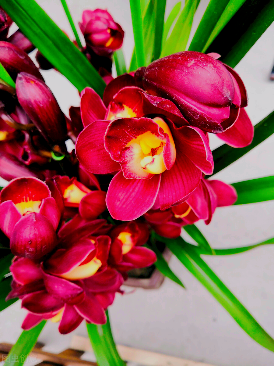 一花一世界，花开满心欢喜