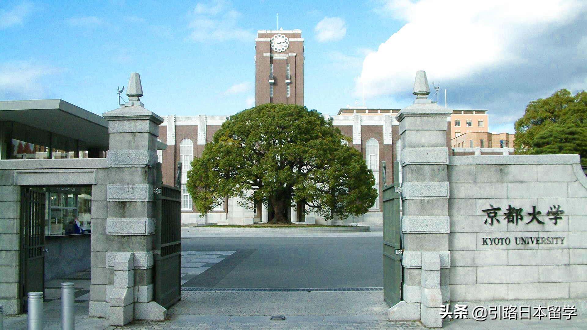 「成功案例」日本留学丨京都大学、东北大学（双内诺）恭喜J同学