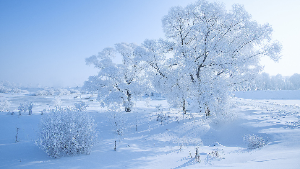 历尽天华成此景，八首有关雾凇的诗词，交织成一幅冬日美景