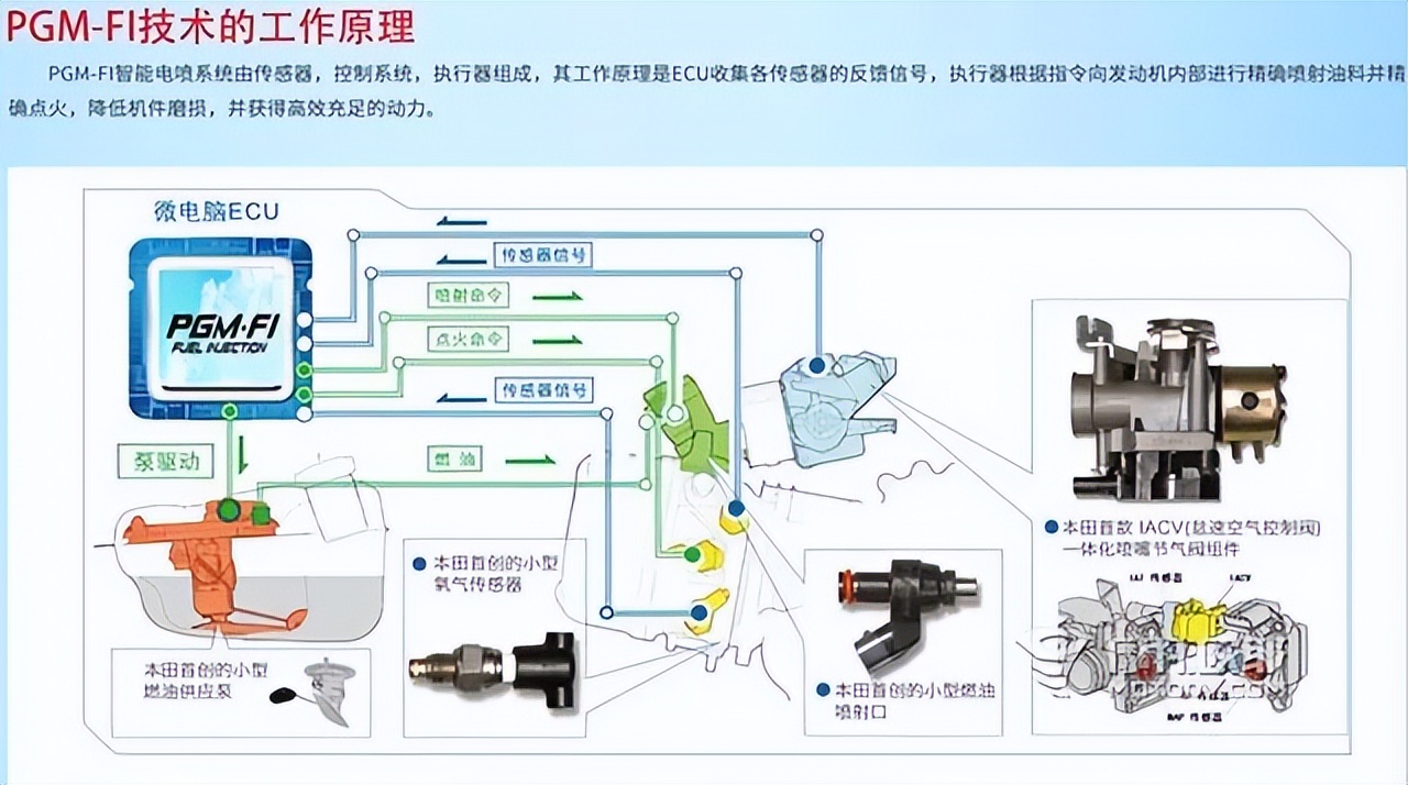 真假ECU