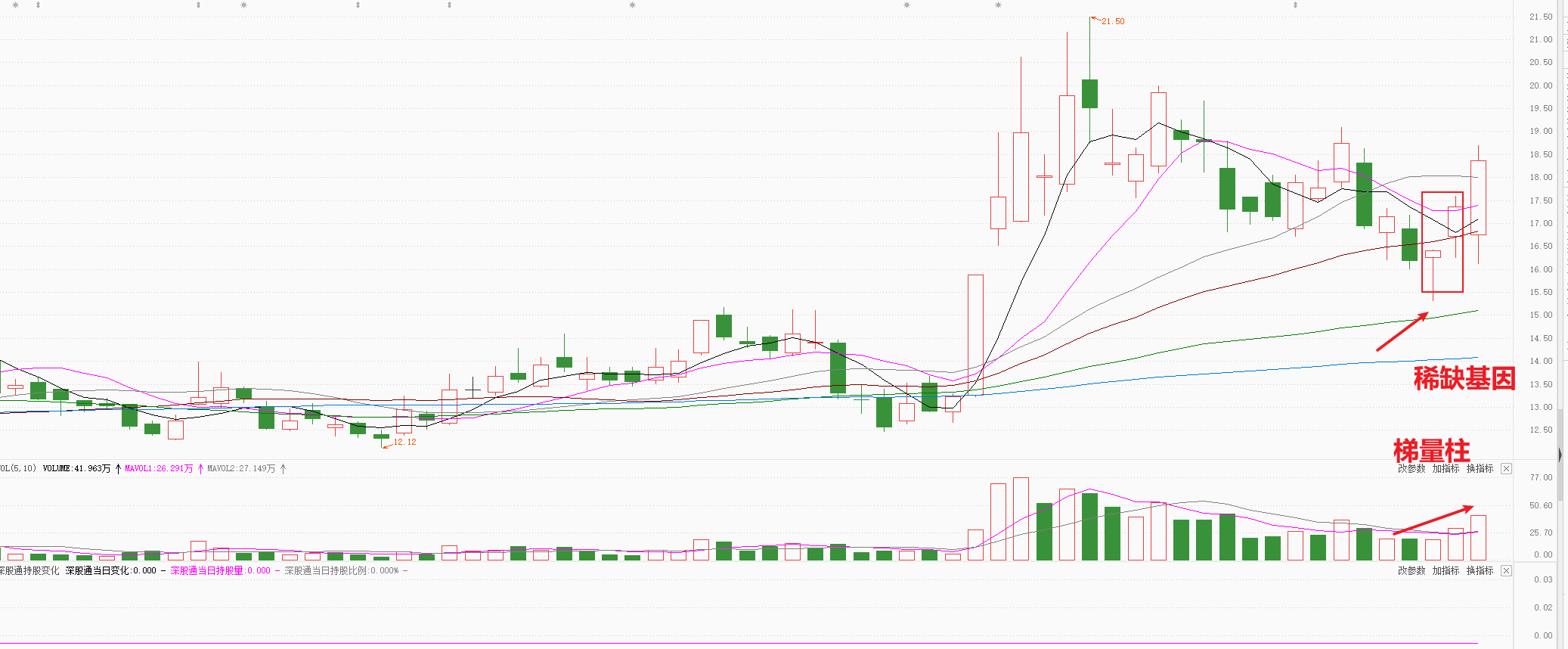 数字货币回踩120日线，强势反转，释放什么信号？