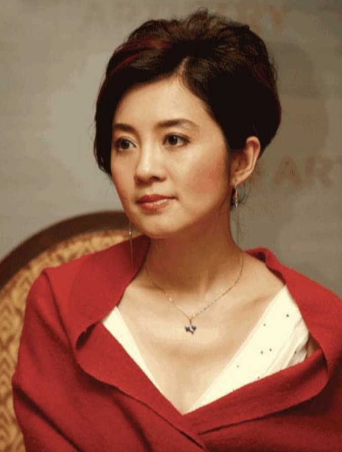 许戈辉简历(许戈辉:与窦文涛传绯闻,未婚先孕嫁豪门,原配女儿把她当