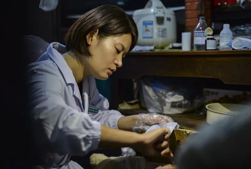 党中央、国务院表彰！湖北这所高校：成功打破国外垄断，实力强劲