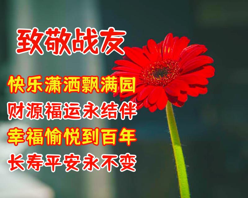 表达战友情深的八个字（送给老战友的温馨祝福语）