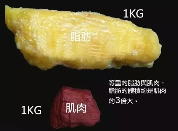 女生怎样瘦大腿(大腿赘肉多？6个动作帮你减掉大象腿，让双腿变修长)