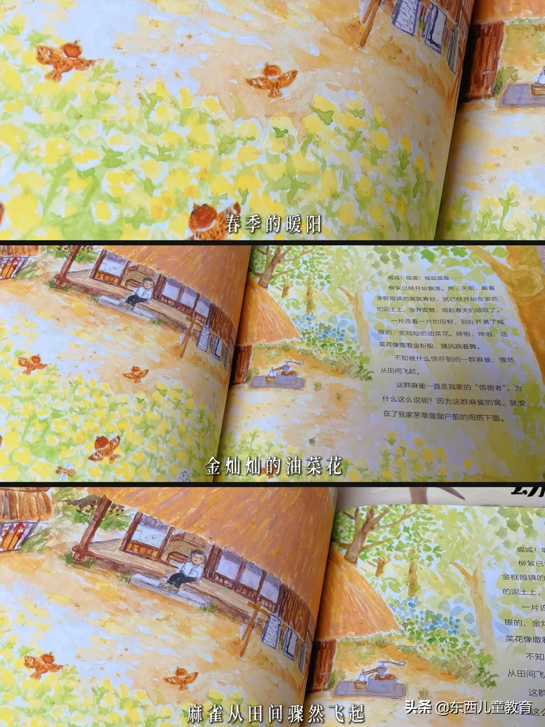 今年圣诞礼物，我没花多少钱，但娃看到一定会尖叫