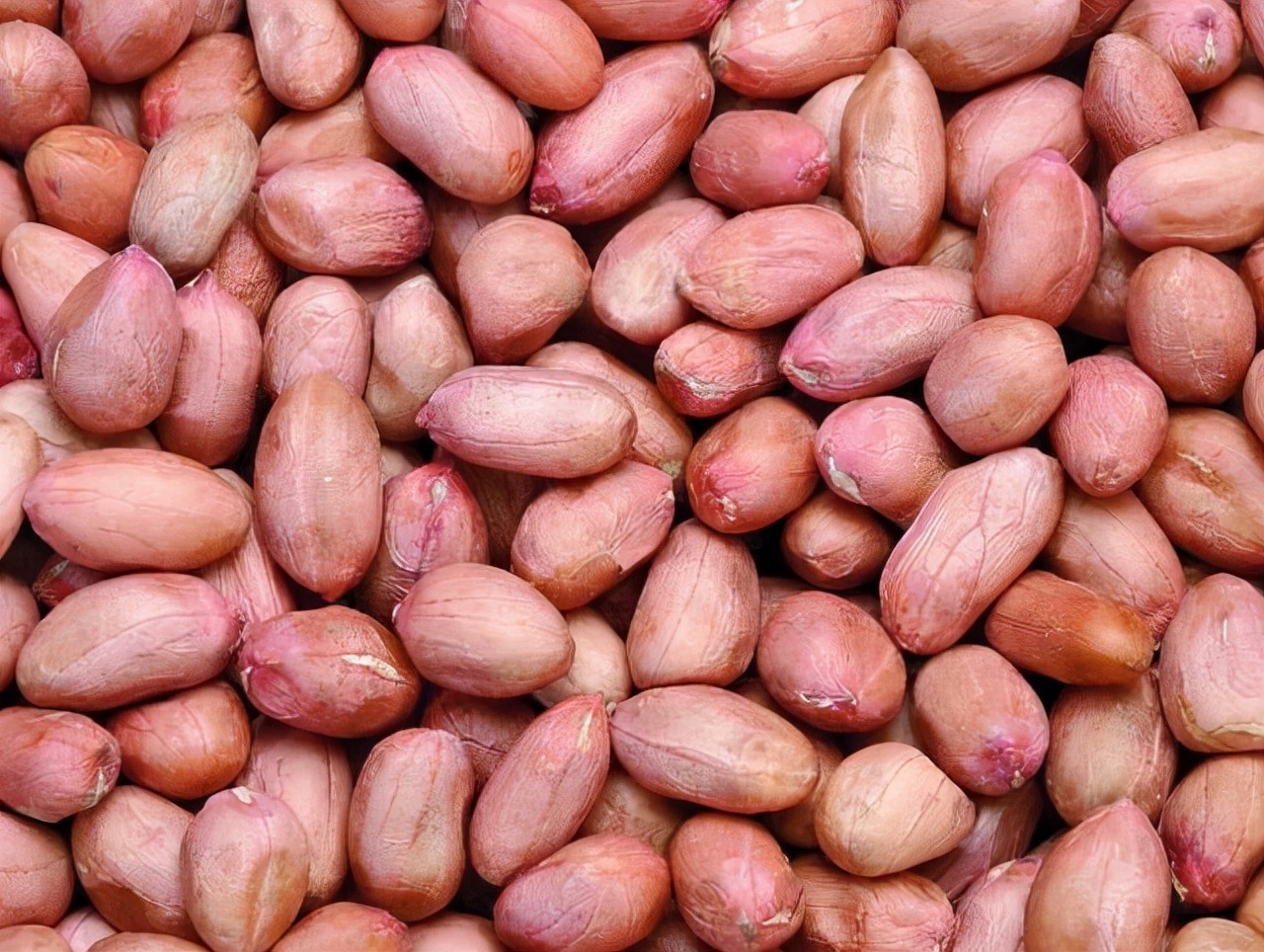 早起空腹吃几粒花生，坚持半个月，这4个好处也许“不请自来”