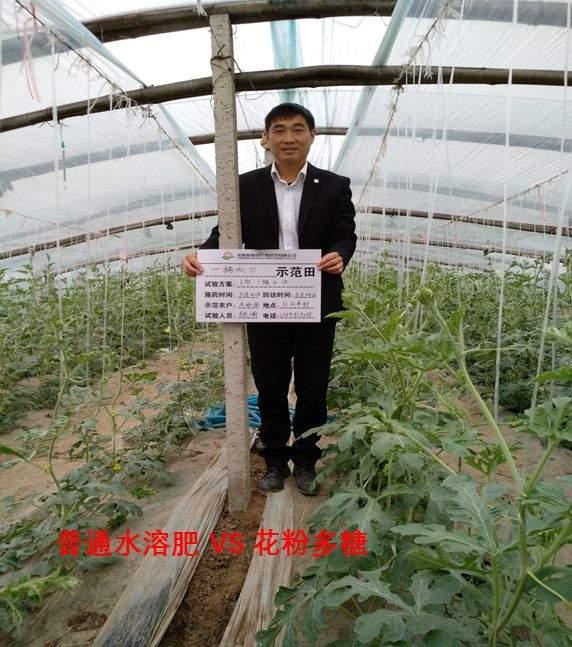 花粉多糖肥好用吗？怎么用？一文说清楚