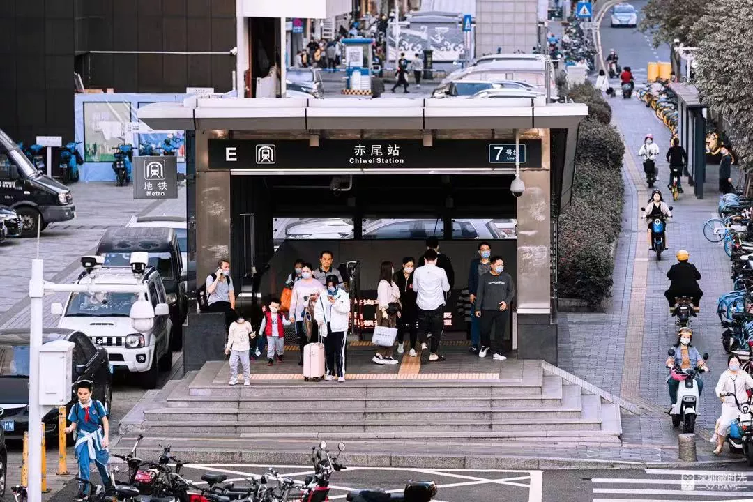 我在深圳灭蟑螂,月入过万的“救命”职业