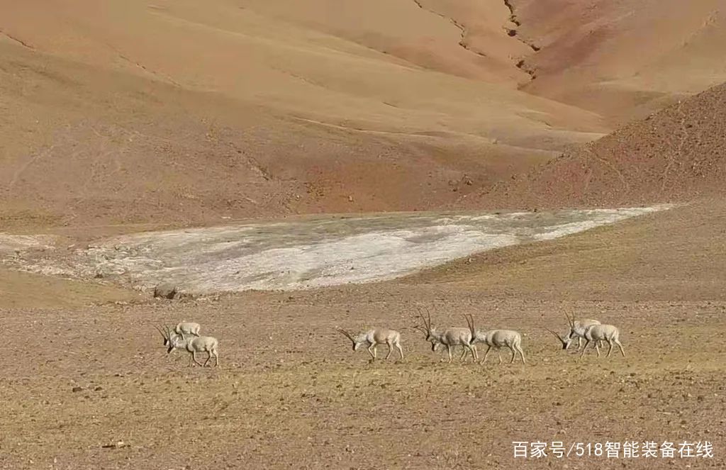 立得空间圆满完成羌塘国家级自然保护区综合科考任务