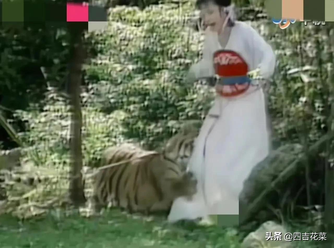 Angelababy被导演要求“假吃”，潘迎紫却要和真老虎搭戏