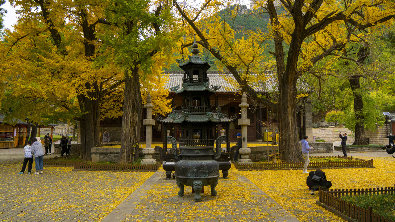 济南有哪些旅游景点（山东济南有哪些旅游景点）-第10张图片-科灵网