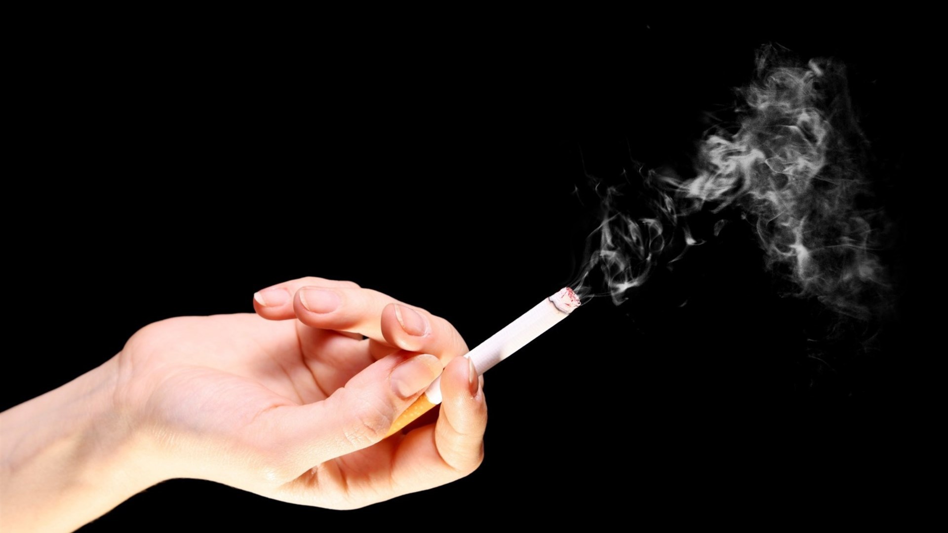 为何要高价收我国烟头?废烟头有什么用?