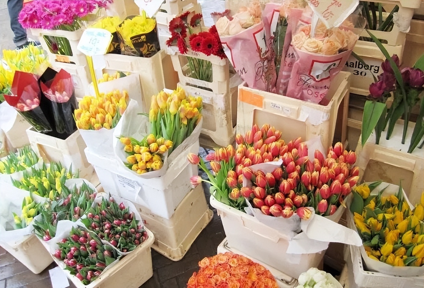 开个鲜花店赚钱吗(小县城开花店赚钱吗)