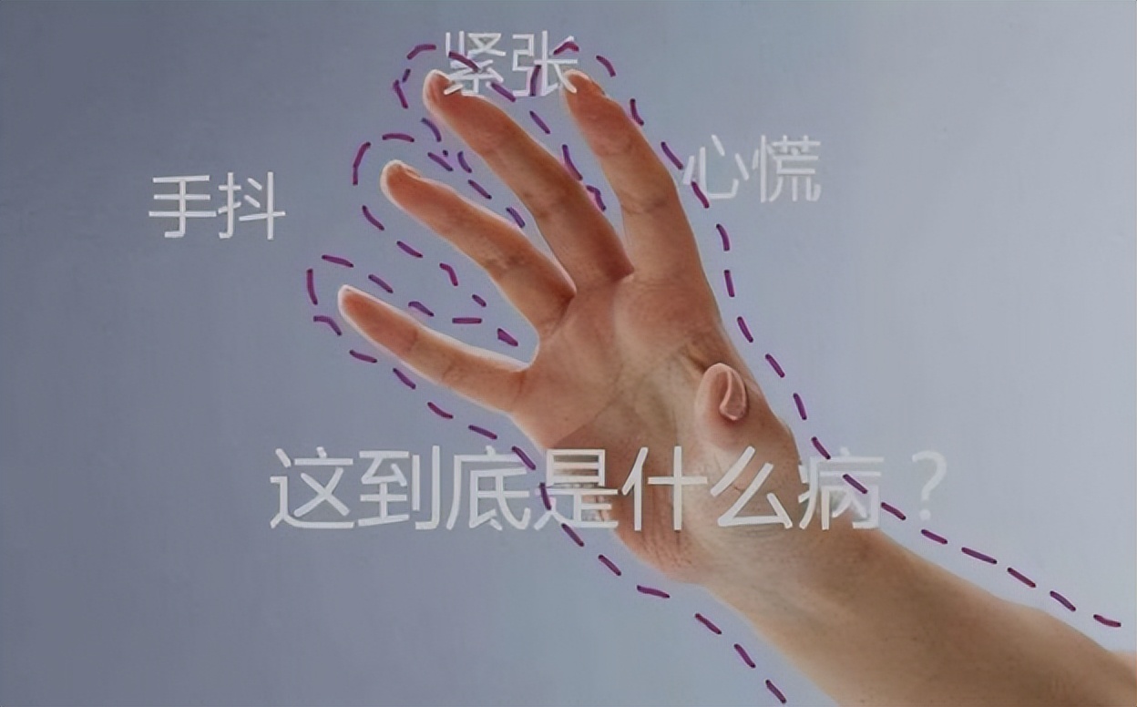 一饿就“手发抖、心慌、无力”？是低血糖吗？未必，本文道出实情