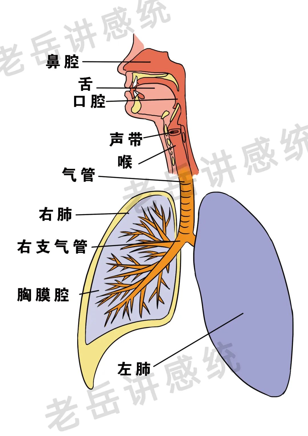 这14个迹象，表明孩子存在语言发育迟缓，需及早干预