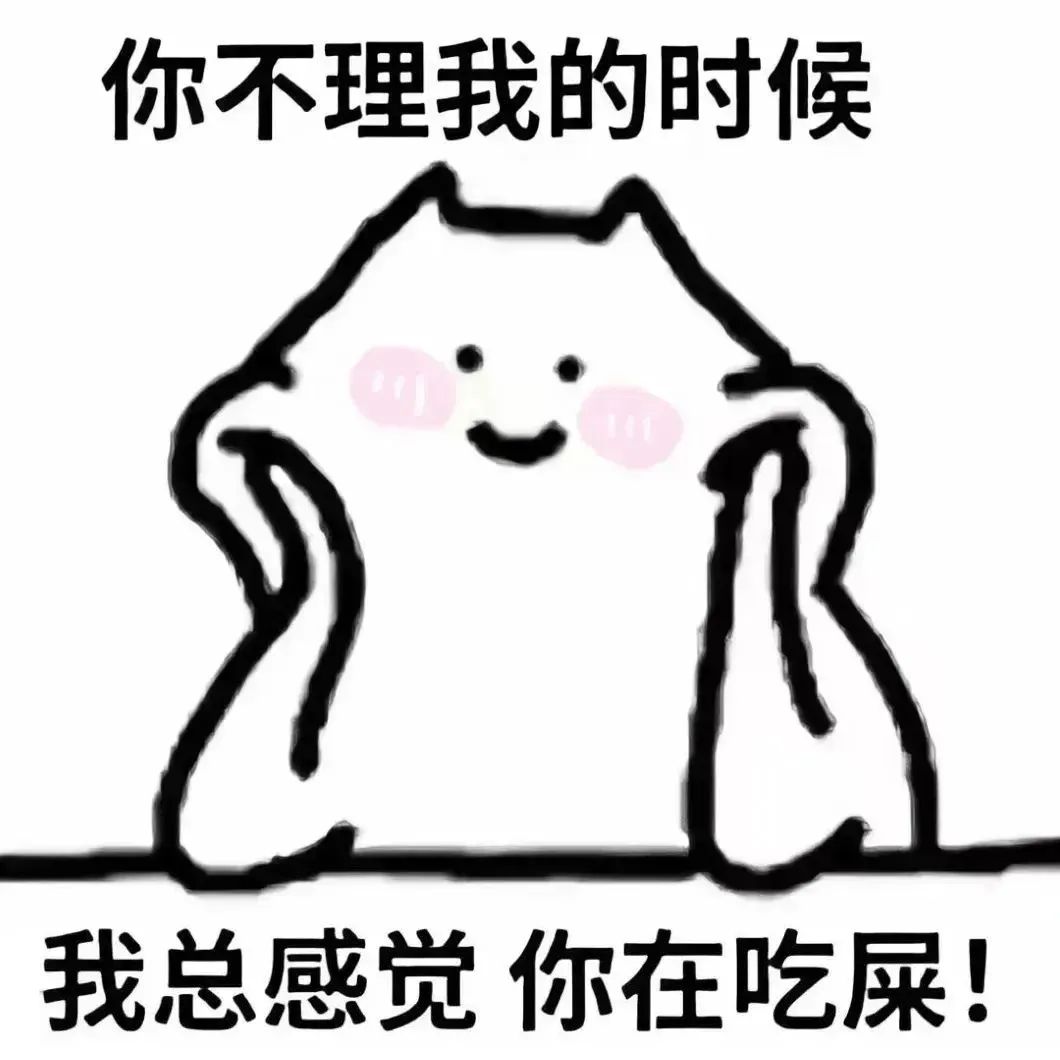 表情包：不可以人家是正经的小猫咪