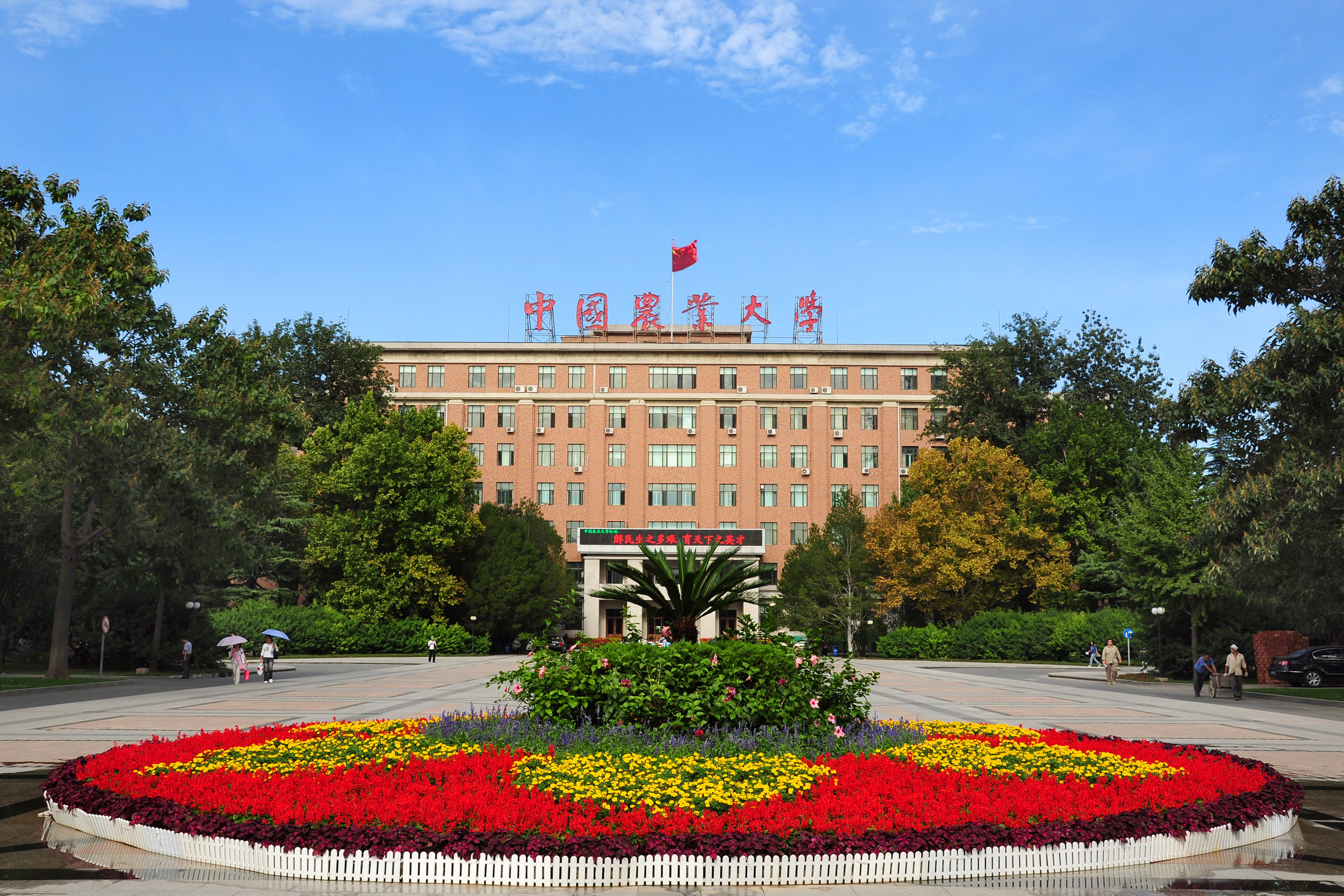 东北农业大学占地面积「东北农业大学占地面积」-爱妻自媒体