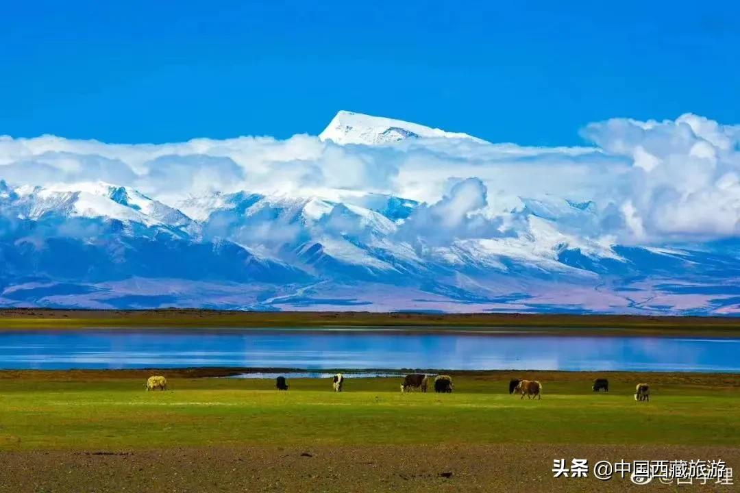 等一个人，陪我去阿里！