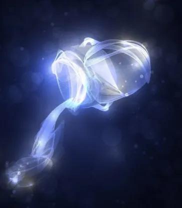 6月是什么星座（12星座月份表，留下你的星座）