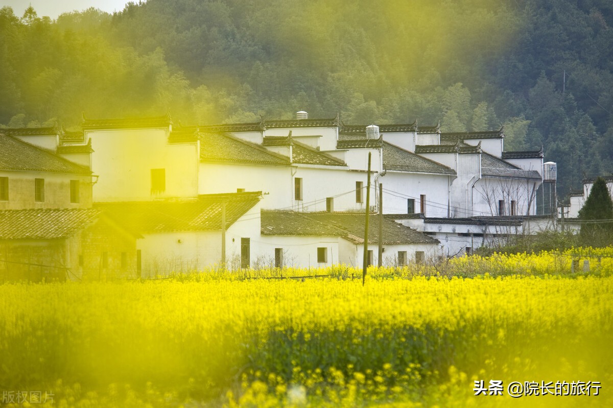 婺源油菜花什么时候开得最好，这5个赏花位置，建议收藏