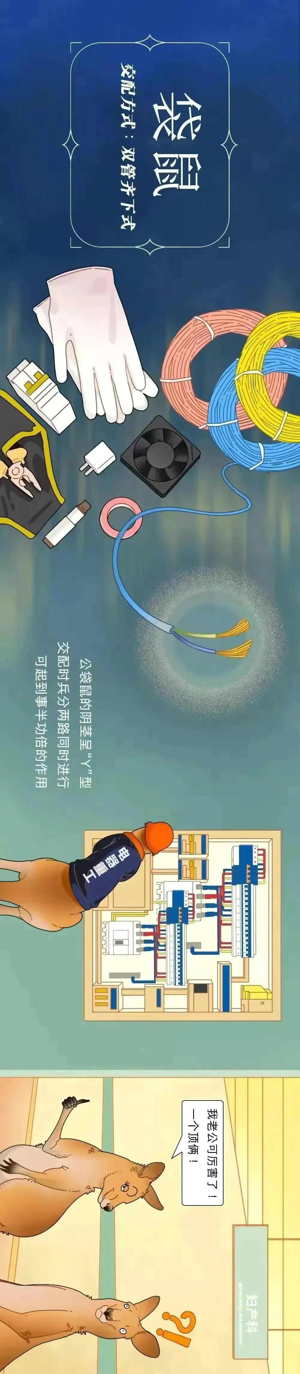 各种动物的繁殖方法（各种动物的繁殖方法小学科学）-第6张图片-科灵网