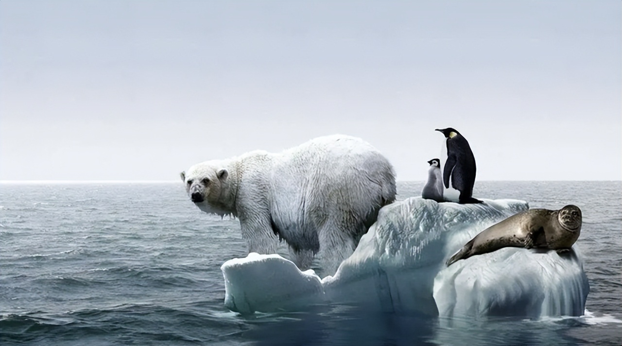 也不仅仅是导致海平面上升,直接给我们人类的影响之一就是一些河流的