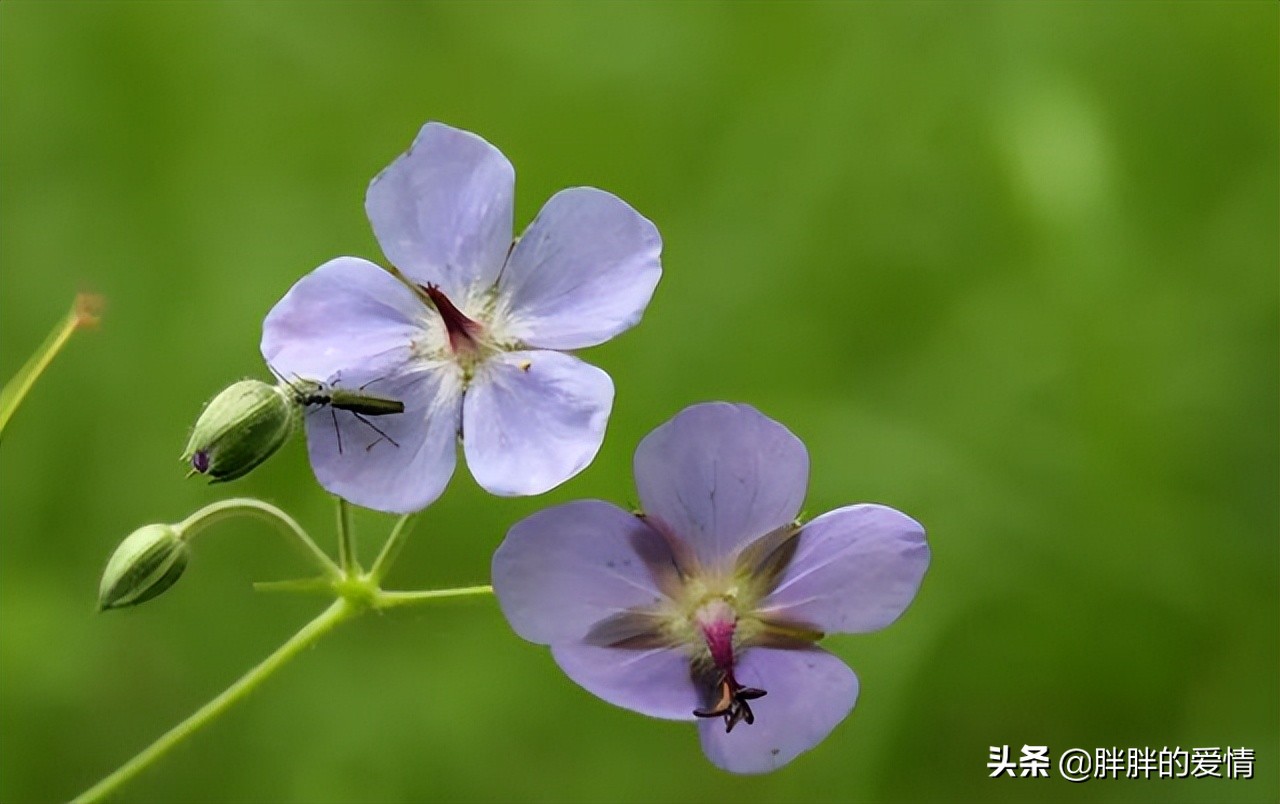 往事归零，爱恨随意；从此山水不相逢，不问旧人长与短