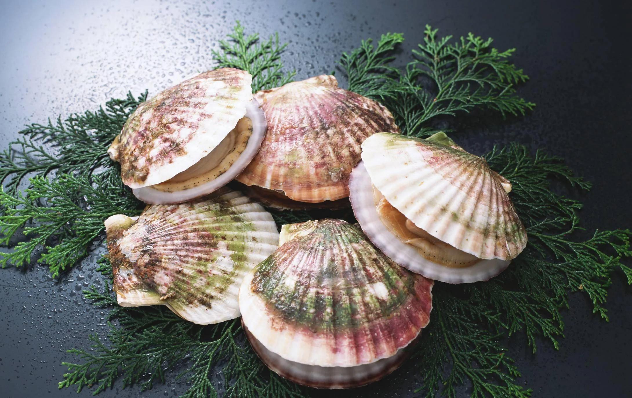 海鲜有什么种类(烤海鲜都有什么种类)-知道啦