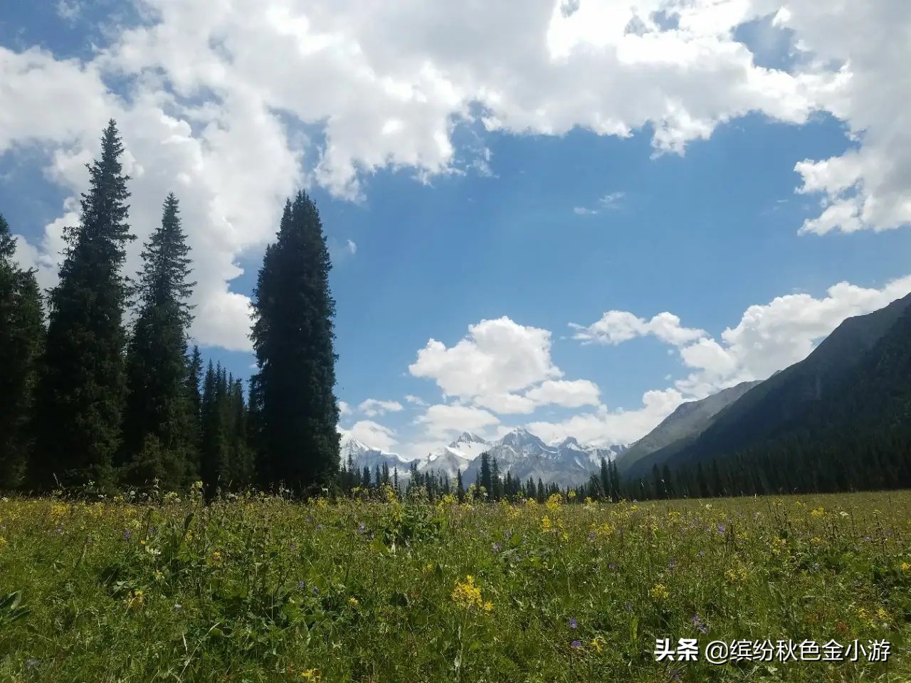 新疆有什么好玩的（新疆有什么好玩的地方旅游景点）-第10张图片-科灵网