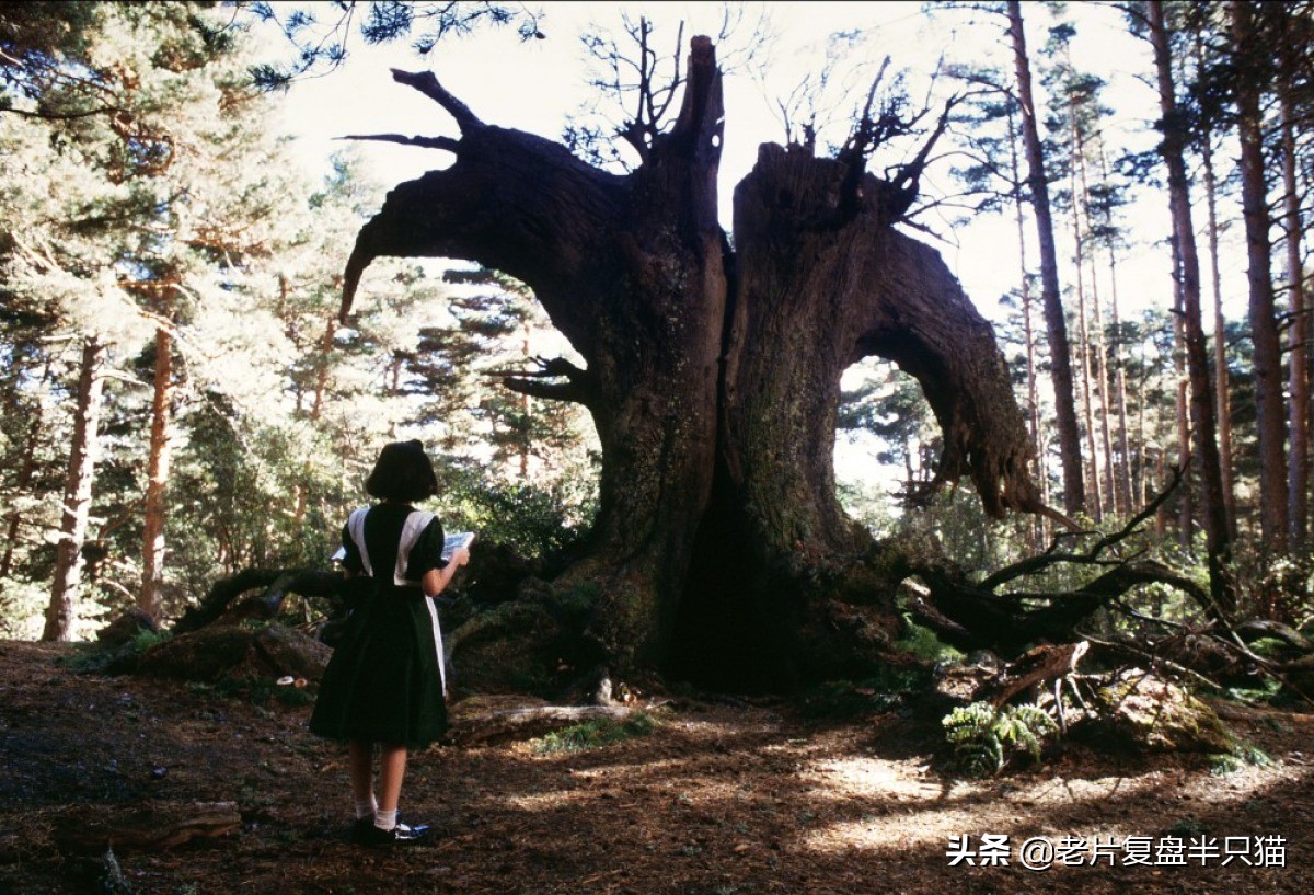 真实or虚幻？深度解读《潘神的迷宫》的2个关键背景