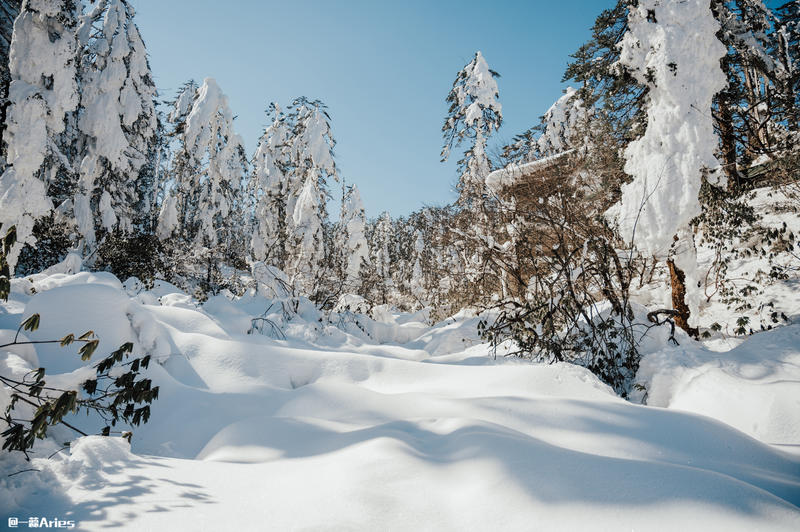 成都周边游 | 川西的雪国秘境，我与瓦屋山的纯白约定