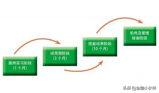 金融业的管培生是干啥的？