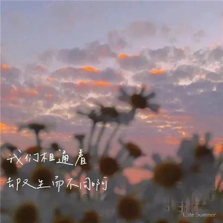 信任是爱情的基石，真诚是永恒的承诺。