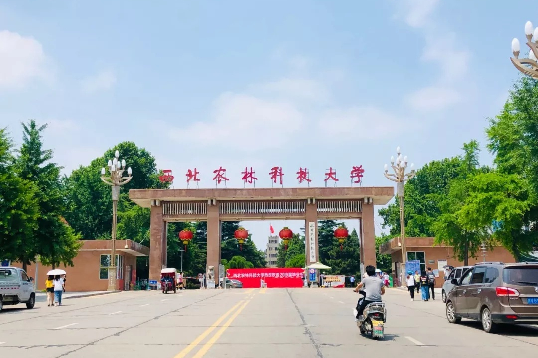 怪！11类“双一流”大学中，9校英文名与众不同