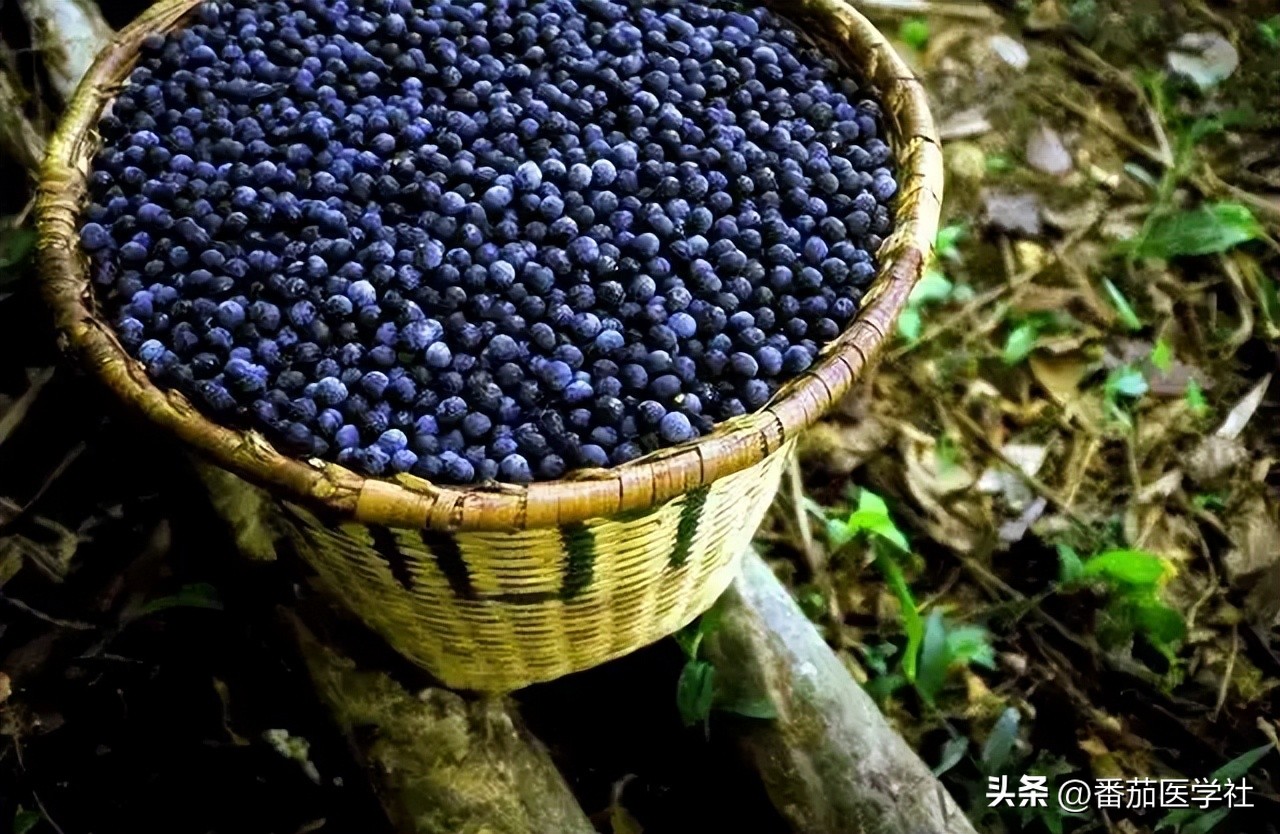 花青素的食物（含有丰富花青素的食物）-第10张图片-科灵网