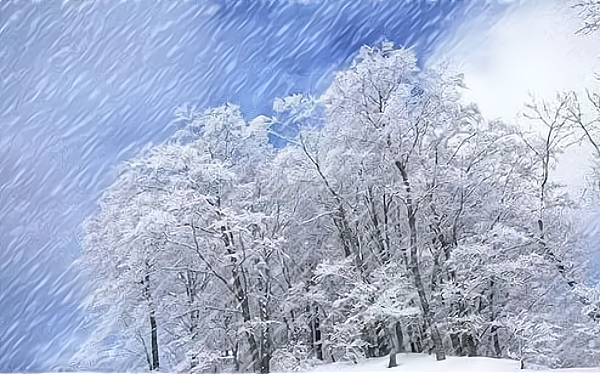 寒假护校进行时：那雪，那雨，还有那些事