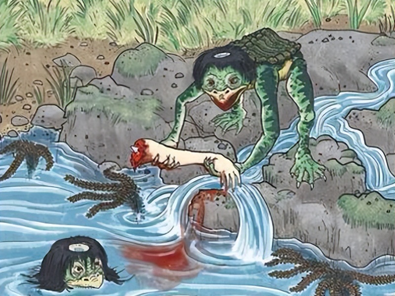 怪物科普 河童传说 论美食家!河童才是永远的神