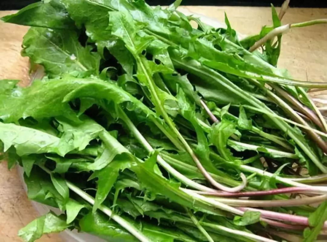 图片[3]-【凉拌蒲公英】做法步骤图 随手拌一拌 营养美味不上火-起舞食谱网