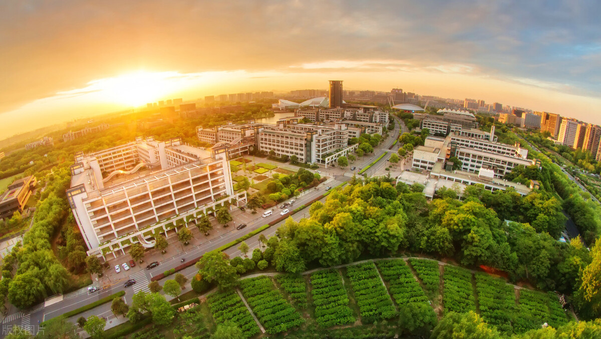 浙大在审核的时候认真细致,标语代表着一个学校的人文素养不应该也不