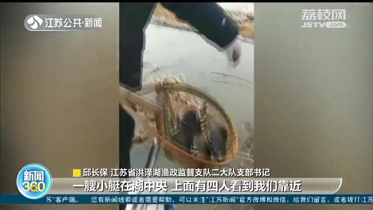 非法毒杀洪泽湖越冬候鸟500余只 七名嫌疑人因“馋嘴”而落网