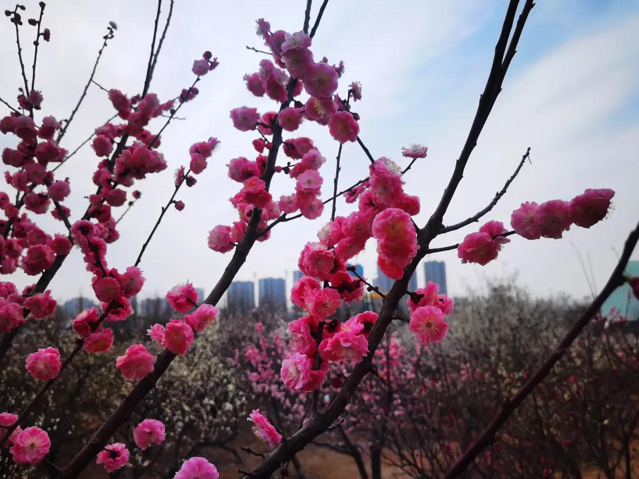 2022高考Ⅰ最新名校模考金题立意导写《求新迎变局 奋斗建新功》