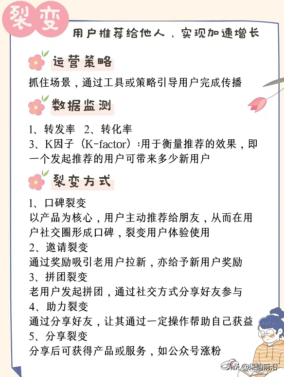 運營人必看/5大運營模式