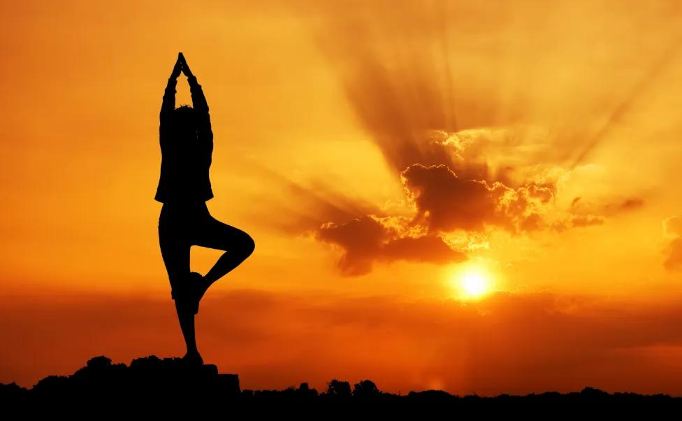 锋芒毕露的意思解释 「锋芒毕露的意思解释词语鞠躬」