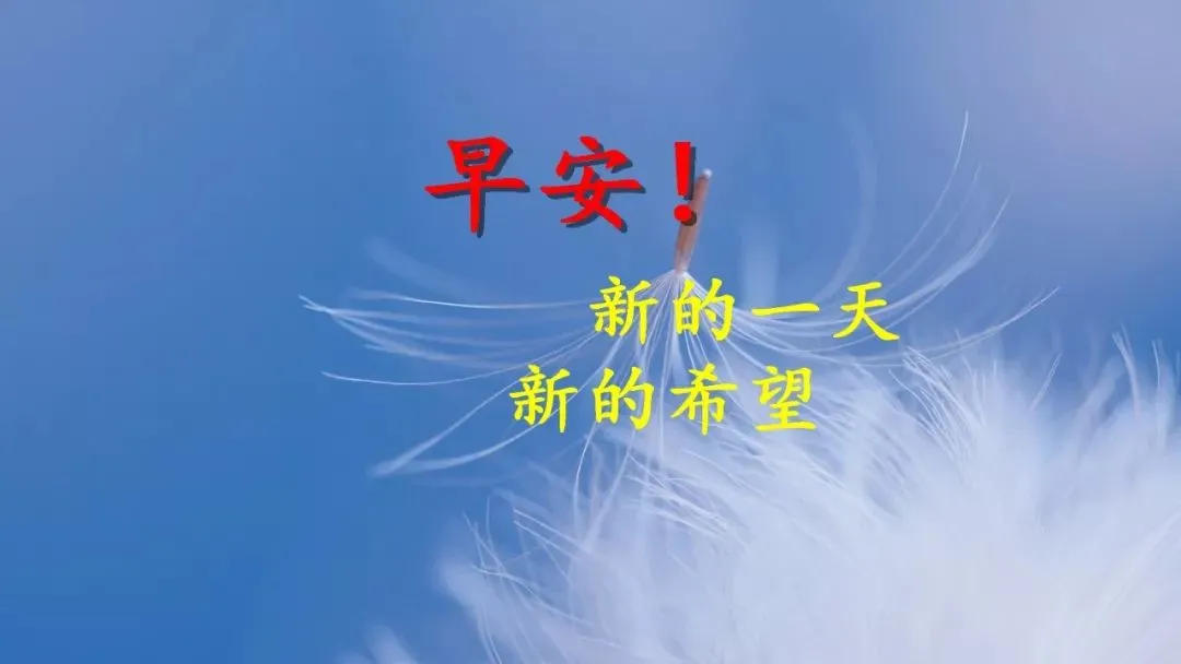 「2021.11.29」早安心语，正能量经典说说，新的一周加油鸭早上好