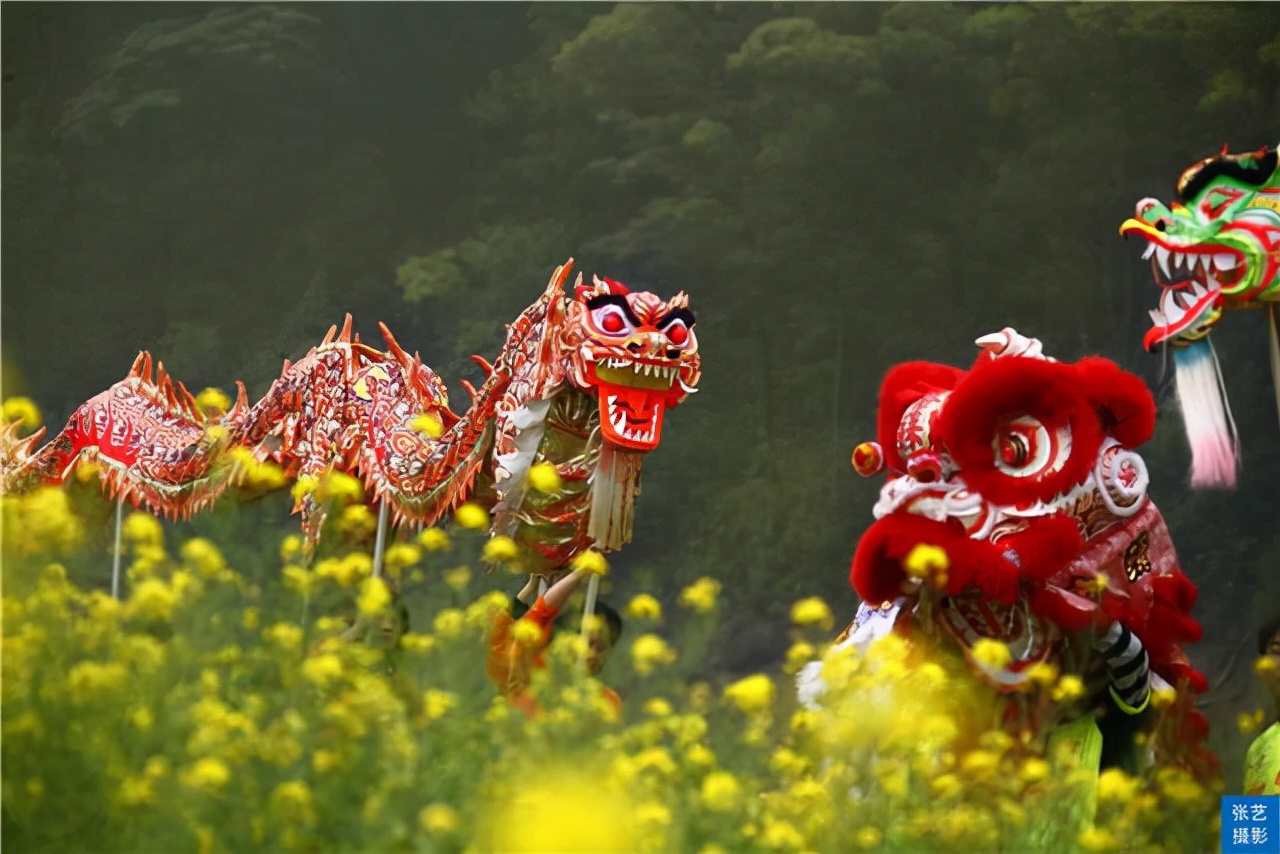 阳春三月，广东石门油菜花田乡村美，春天赏花拍照踏青好去处