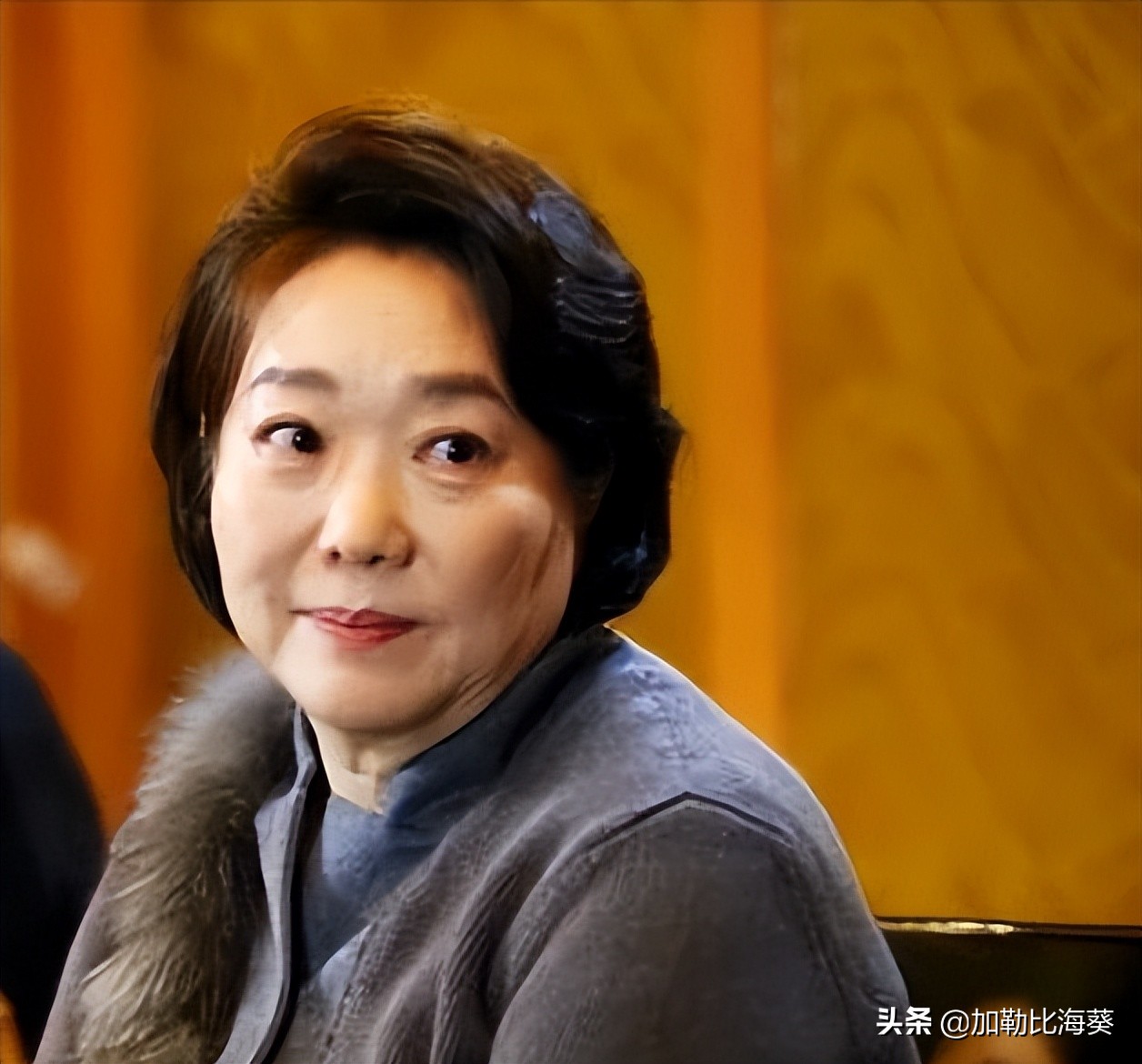 一张胖胖的绿叶：杨喜京